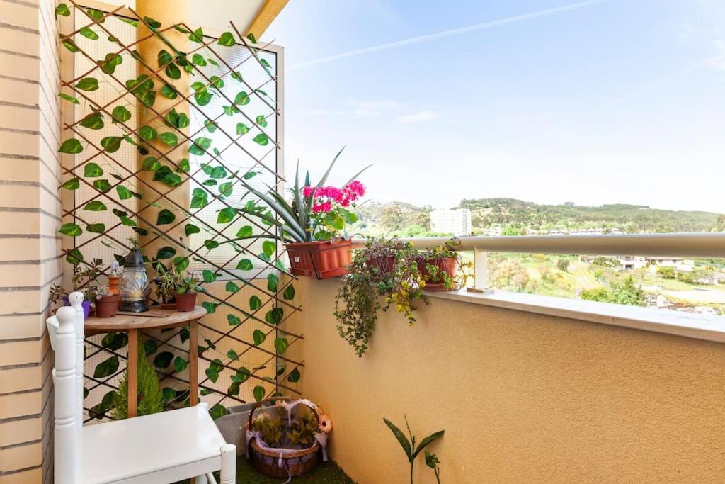 Suite Vintage Valongo  Ngoại thất bức ảnh